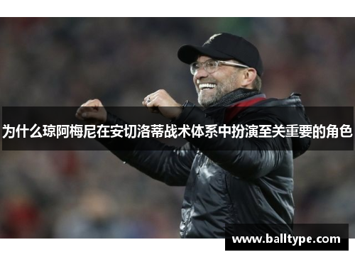 为什么琼阿梅尼在安切洛蒂战术体系中扮演至关重要的角色 为什么琼阿梅尼在安切洛蒂战术体系中扮演至关重要的角色