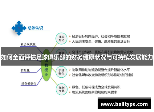 如何全面评估足球俱乐部的财务健康状况与可持续发展能力 如何全面评估足球俱乐部的财务健康状况与可持续发展能力