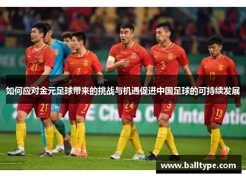 如何应对金元足球带来的挑战与机遇促进中国足球的可持续发展