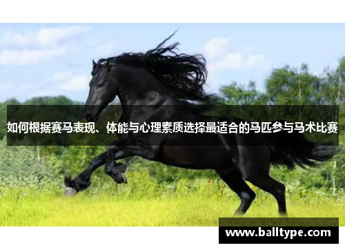 如何根据赛马表现、体能与心理素质选择最适合的马匹参与马术比赛 如何根据赛马表现、体能与心理素质选择最适合的马匹参与马术比赛